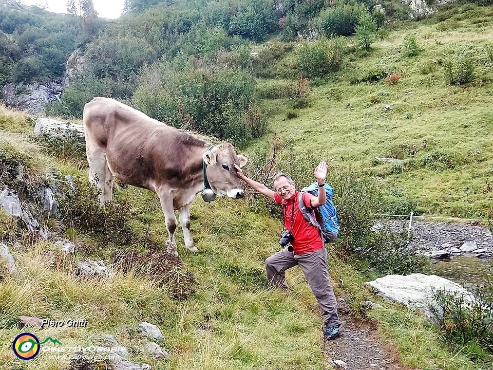 18 Una carezza ben accolta....jpg